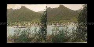 Burgruine an der Donau