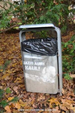 NAZIS AUFS MAUL!