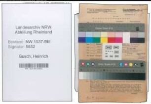 Entnazifizierung Heinrich Busch , geb. 21.07.1892 (Steuerberater)