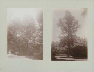 links: Schlossgarten in Karlsruhe rechts: Schlossgarten in Karlsruhe