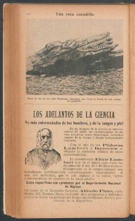 Una roca cocodrilo - [Fotografía]