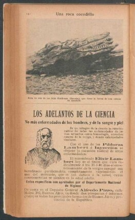 Una roca cocodrilo - [Fotografía]