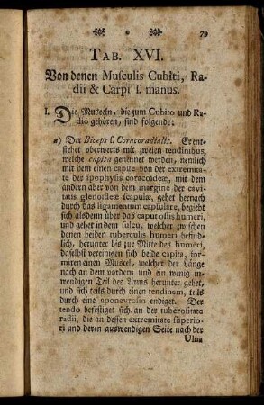 Tab. XVI. Von denen Musculis Cubiti, Radii & Carpi s. manus.