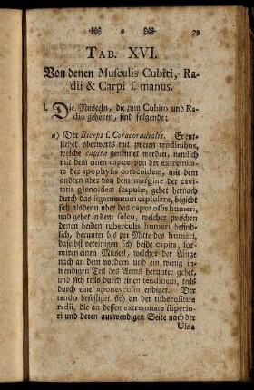 Tab. XVI. Von denen Musculis Cubiti, Radii & Carpi s. manus.