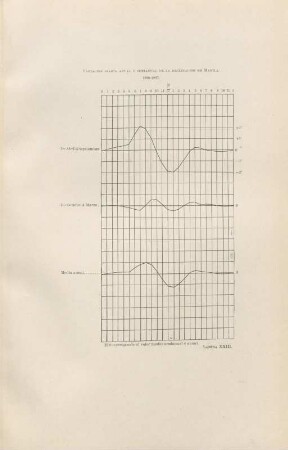 Lámina XXIII. Variación diaria anual de la declinación en Manila. 1890-1897