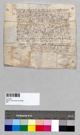 Kaspar Ebenhauser, Kanoniker zu Baumburg, erbittet von seinem Propst Ulrich [III.], wegen der ihm übertragenen Kirche in Sitzendorf seine Sache beim Papst auf dem Rechtsweg selbst oder durch Prokuratoren betreiben zu dürfen. Der Propst erteilt die Genehmigung.; S: Kaspar Ebenhauser, Kanoniker zu Baumburg