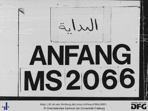 MF Mau 2066
