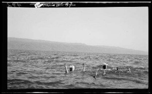 Im Toten Meer