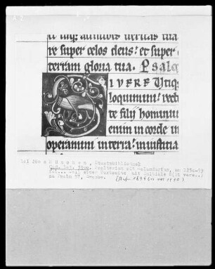 Psalterium mit Kalendarium — Initiale S (i vere) mit Drache