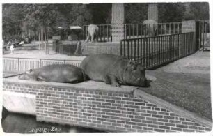Leipzig: Zoo