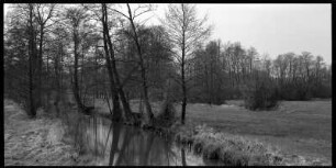 Spreewaldlandschaft bei Leipe