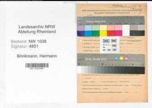 Entnazifizierung Hermann Brinkmann , geb. 25.10.1905 (Vertreter)