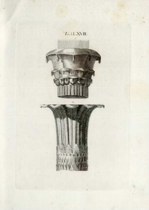 Tab. LXVII.