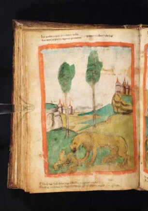 Mariensymbol: der Löwe mit drei Jungen, die er durch sein Gebrüll zum Leben erweckt hat