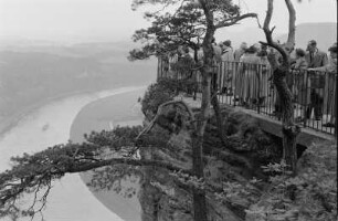 Reportage: Wandervögel und andere Vögel in der Sächsischen Schweiz. Aussichtspunkt auf der Bastei