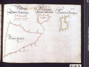 Ensinger Hut: Vaihinger Gravenreysach, Verwaltung Bartenberg, Spital Bartenberg