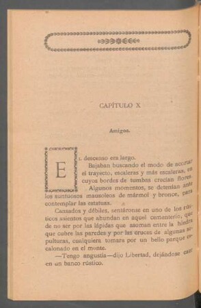 Capítulo X - Amigos.