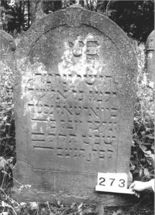 Grabstein 273