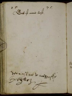 Wratislaw Wampersky Strohinez (?) 1575