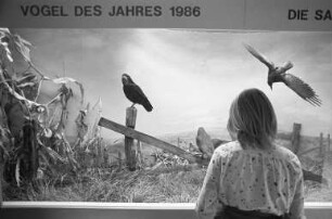 Museum am Friedrichsplatz/Landessammlungen für Naturkunde