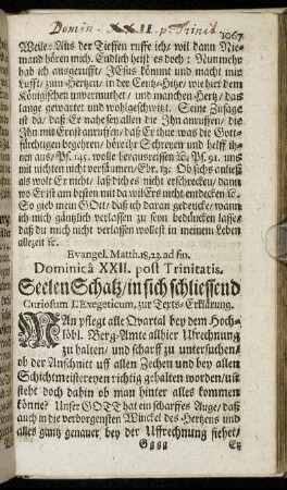 Evangel. Matth. 18, 23. ad fin. Dominica XXII. post Trinitatis.