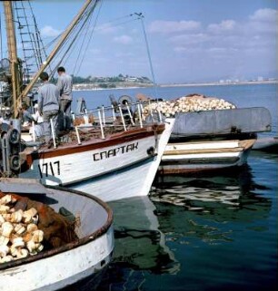 Drei Fischerboote im Hafen