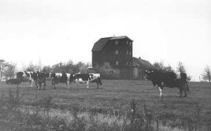 Mittelherwigsdorf-Oberseifersdorf. Donixmühle