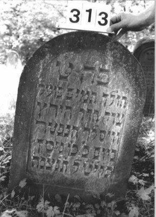 Grabstein 313