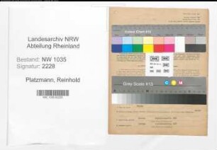Entnazifizierung Reinhold Platzmann , geb. 18.07.1910 (Holzmeister)