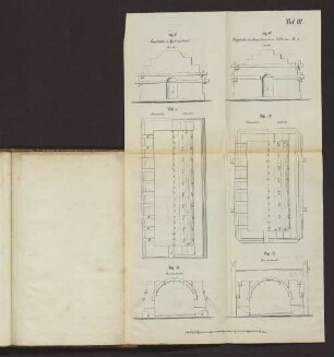 Taf. III. Fig. 8. bis Fig. 13.