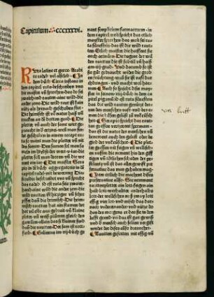 175v-177r, Rautten (336. Kapitel)