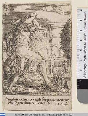 Herkules tötet den Drachen Ladon