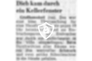Dieb kam durch ein Kellerfenster
