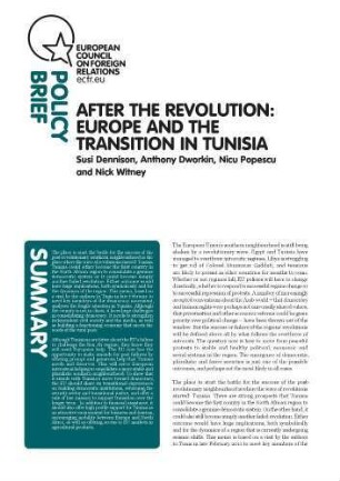 After the revolution : Europe and the transition in Tunisia