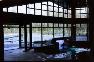 Freiburg: Thermalbad, Innenbecken