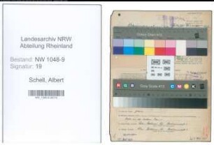 Entnazifizierung Albert Schell , geb. 04.08.1903 (Schreiner)