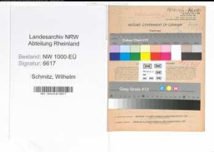 Entnazifizierung Wilhelm Schmitz, geb. 15.01.1904 (Ingenieur)