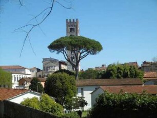 Lucca: San Frediano