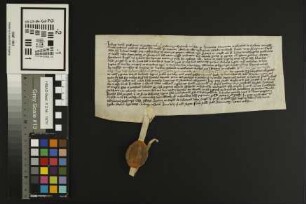 Kriegsheim: Glült- und Zinsbrief des Andreasstiftes zu Worms