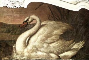 Schwan und Hund