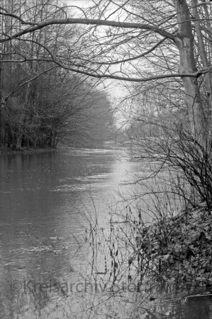 Trave: rechts und links am Ufer Büsche und Bäume
