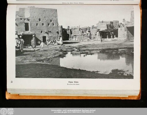 Oase Siwa