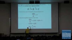 Lecture 21. The Steady State Approximation.