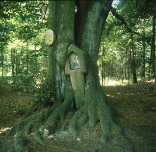 Bullauer Bild. Bildstock aus Stein (1561), eingewachsen in einen Baum