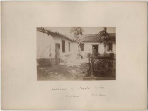 Karl und Wilhelm von den Steinen im Wohnhaus in Cuiabá
