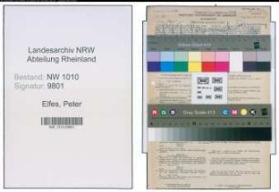 Entnazifizierung Peter Elfes , geb. 20.10.1900 (Postschaffner)