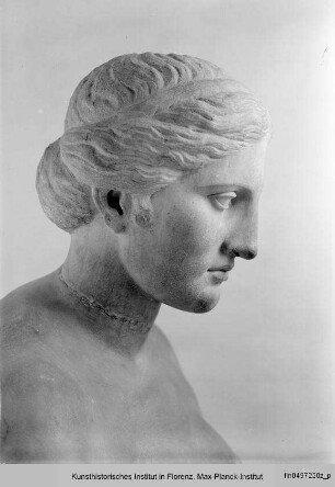 Büste der Venus (nach griechischem Vorbild)