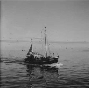 Saßnitz. Fischerboot auf der Fahrt in den Hafen