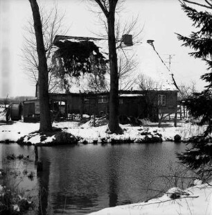 Schuhwiese: Dorfteich: dahinter Reetdachkate mit Bäumen: Winter