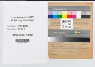 Entnazifizierung Alfred Strassweg, geb. 21.05.1902 (Hilfsarbeiter)